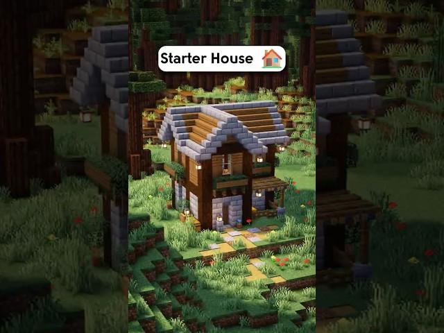 Minecraft Ladin Başlangıç Evi Yapımı