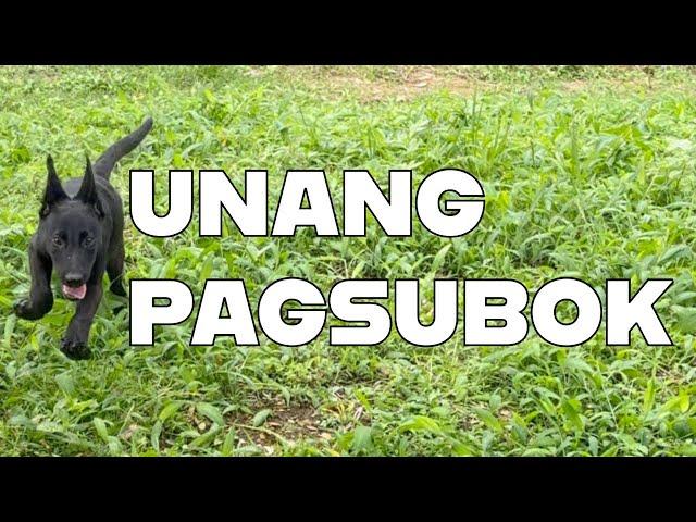 UNANG PAGSUBOK NI PARALUMAN