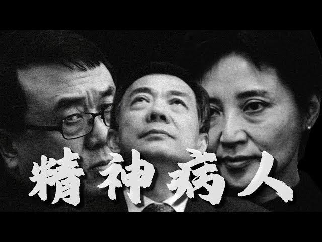 一个毁于精神病人之手的中国政治巨头