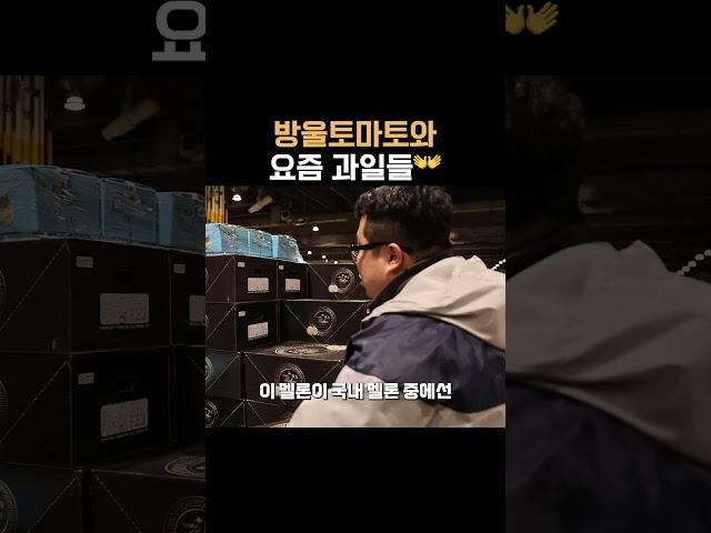 방울토마토와 요즘 과일들