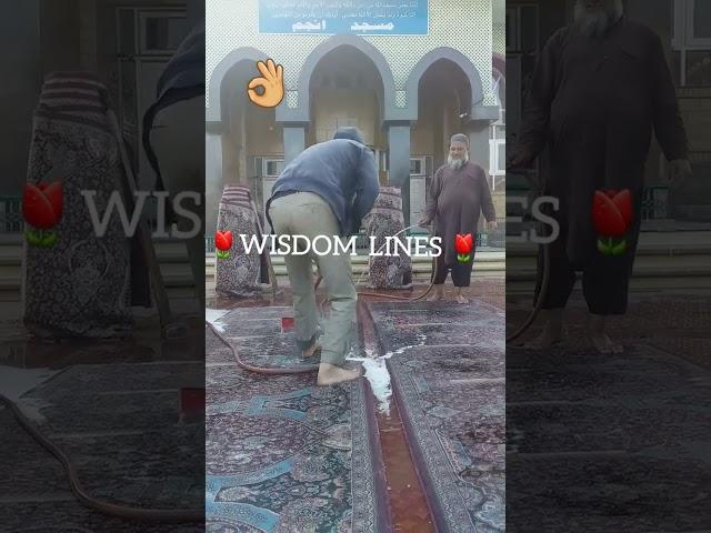 Doing it out of Respect #shortsfeed #shorts #mosque #washing
