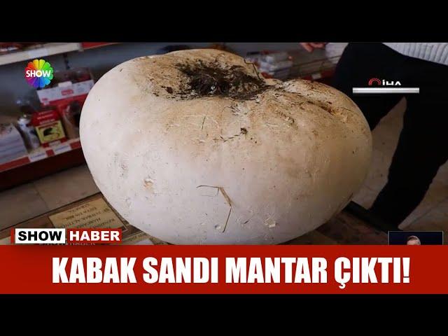 Kabak sandı mantar çıktı!