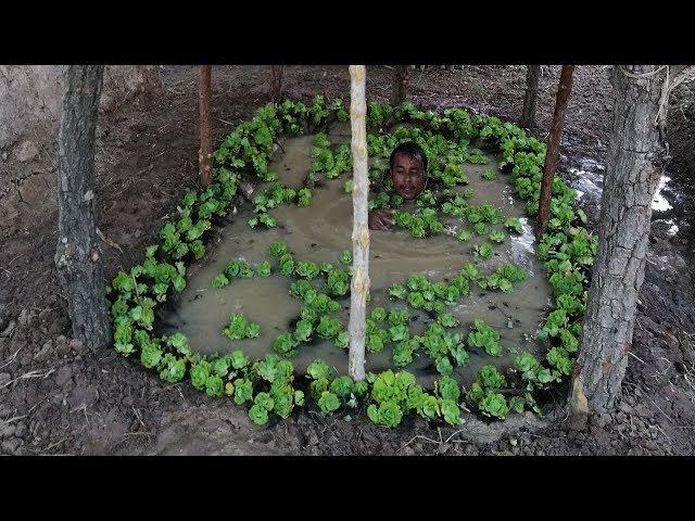 Primitive daily life : Build Mini Swimming Pool Underground (use mud)