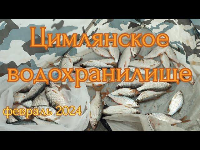 Зимняя рыбалка. Цимлянское водохранилище. Февраль 2024