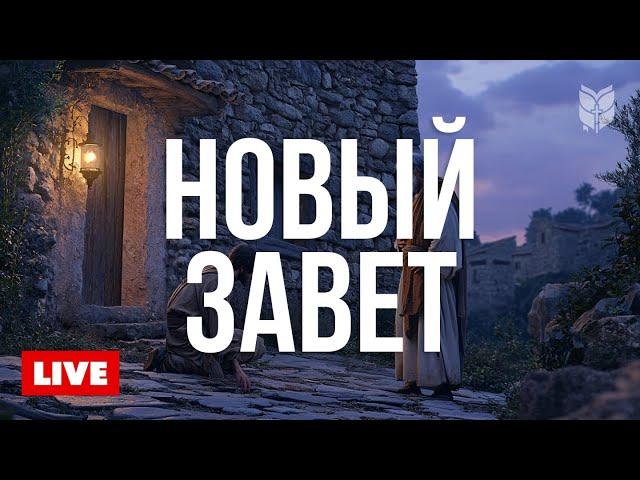 Благая Весть каждый день | Новый Завет  BibleVision Прямой Эфир