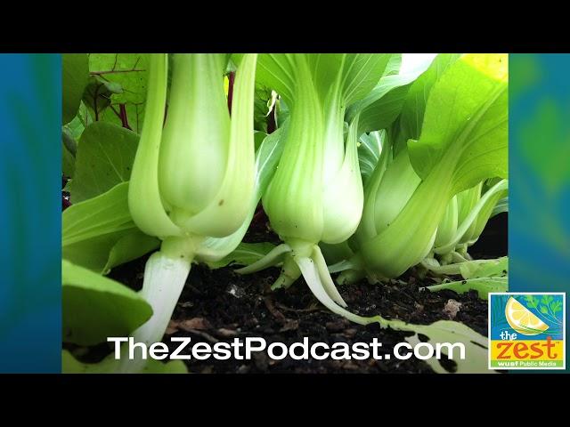 Florida Fruit & Vegetable Gardening 101 | The Zest Podcast