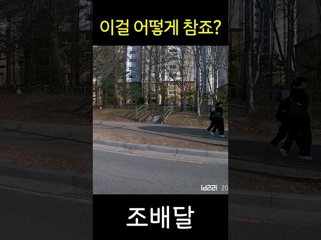 지나가는 중고딩의 한 마디에 그만... 화가 났네요 #블랙박스