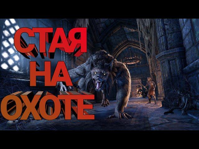 Elder Scrolls  Online  оборотень НА АРЕНЕ