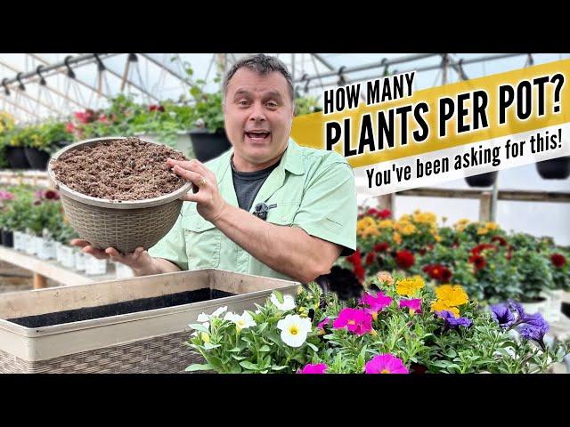 The Right Number of Plants for Every Pot (with a Handy Reference Chart)