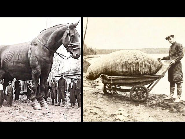 Rare Historical Photos You Must See..