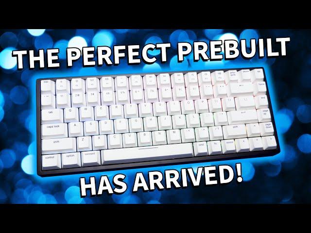 I Found The PERFECT Prebuilt Keyboard and it's ONLY $100! - Vissles V84 V2 Full Review