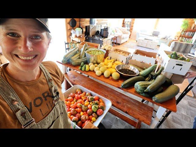 Giant 500lb Harvest | That's What Happens When You Leave