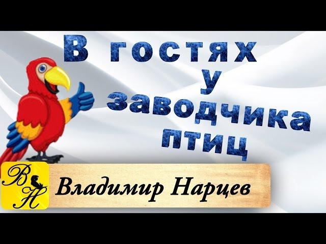 В гостях у заводчика птицы