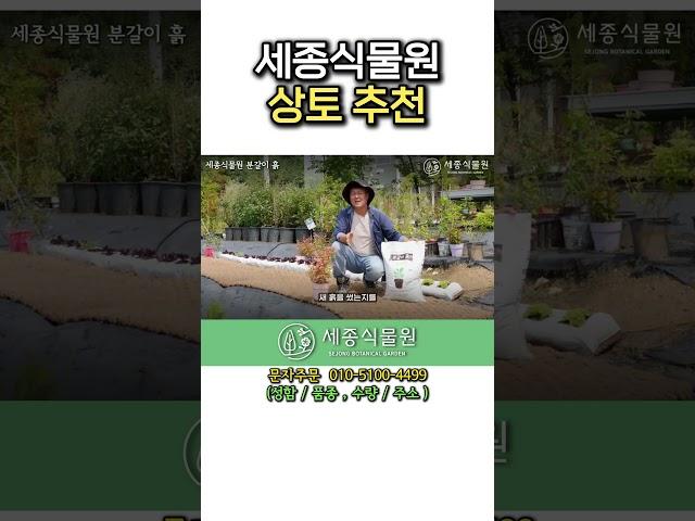 세종식물원 상토 추천 #정원 #흙 #분갈이흙 #상토