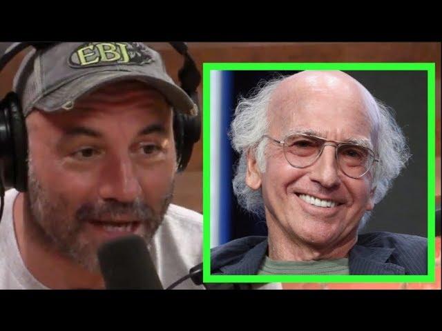 Joe Rogan - Larry David's a Genius