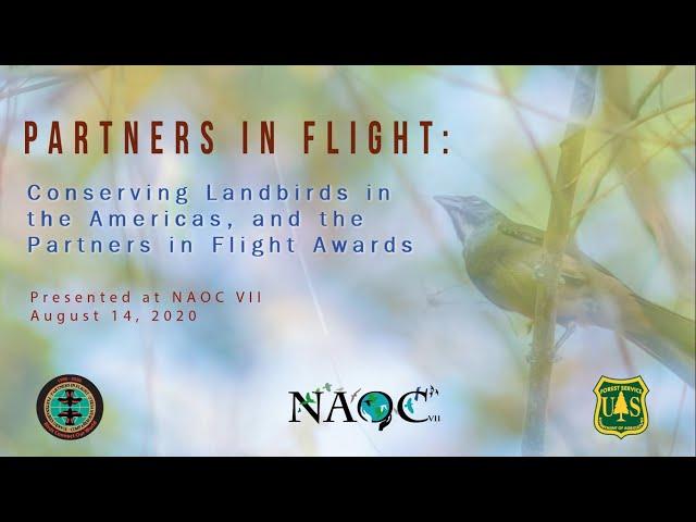 2019 Partners in Flight Awards Presentation