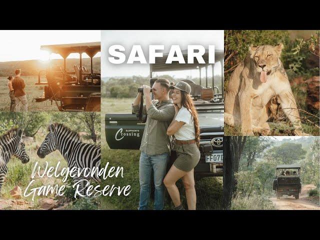 SAFARI in SÜDAFRIKA  | Ablauf, Anreise, Tipps