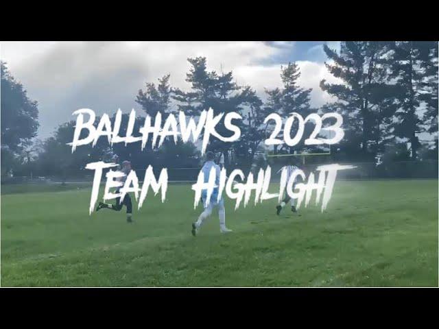 Ballhawks 2023 Season Highlights