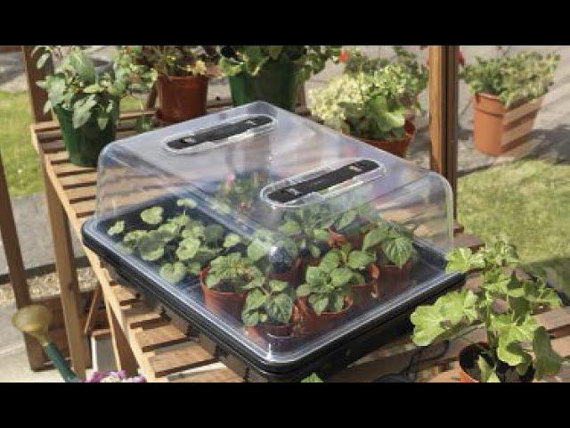 Propagators for plants, fruits and vegetables.