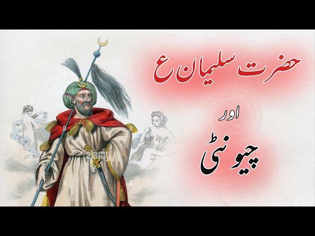 Hazrat Suleman aur Chunti | Hazrat Suleman ka Waqia |  History Ever