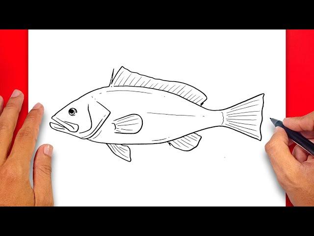 How to draw Red Grouper - Easy Drawing Red Grouper Fish