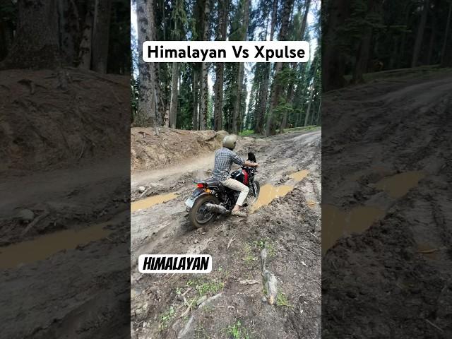 Konsi better hai? | Himalayan Vs Xpulse | Offroad Comparison | SajidWanders #himalayan #xpulse