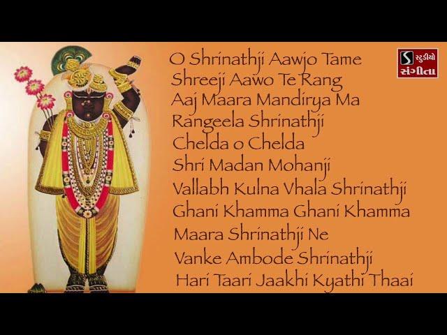 Shrinathji Satsang | 11 Beautiful Songs | Hari Taari Zaakhi