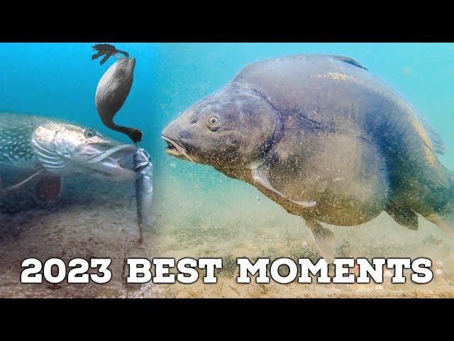 Best Underwater Fishing Compilation 2023 (4K Quality)