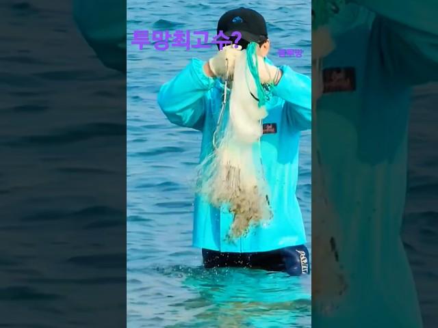 투망최고수는 누구?#바다투망#fishing #shorts#cast #여행#동해바다
