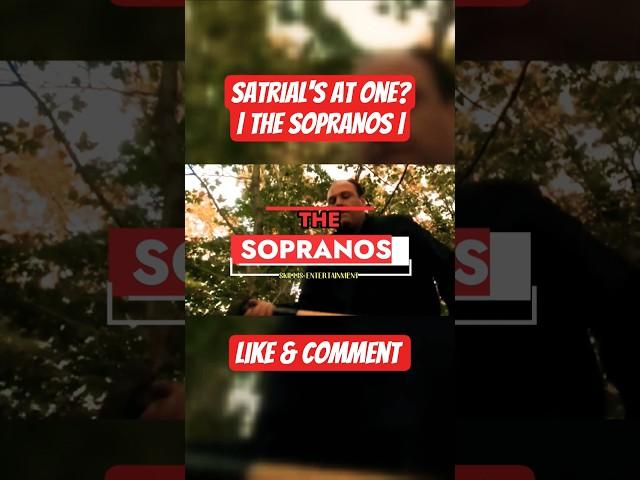 Now You Know | The Sopranos #tonysoprano #sopranos #shortsedit #eastduo #shortsfeed