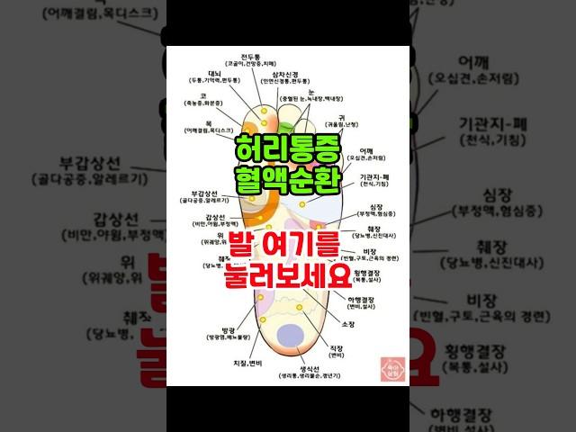 발마사지 하면 좋은점 #건강 #건강정보 #꿀팁