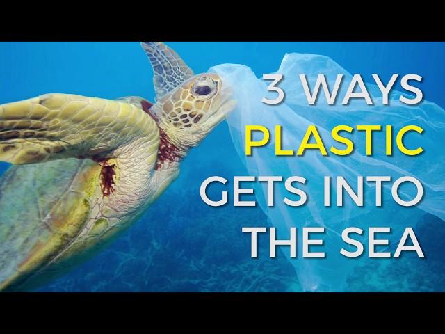 How does plastic end up in our oceans?