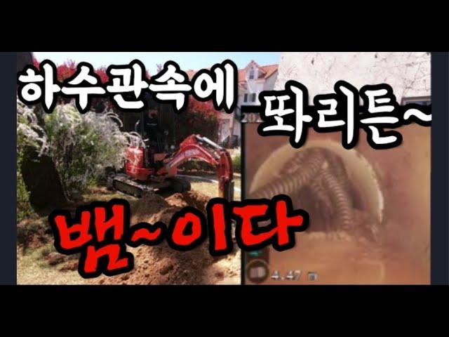 하수관속에 똬리튼 뱀이있다?(스프링회수, 관로탐지작업, 굴삭기작업)