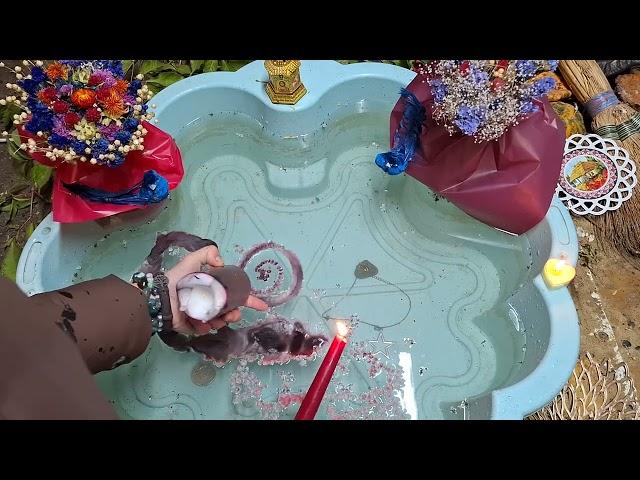 Продолжение чисток от кодла "змеюк", возвращаем  синюю птицу удачи,мечты и возвращаем себе чудеса!