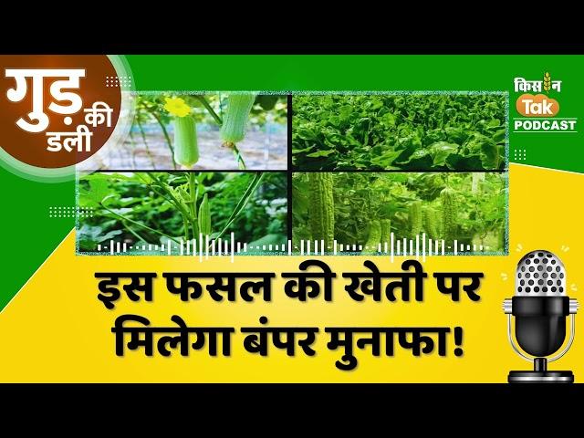 Podcast: Bihar के किसानों के लिए एक और खुशखबरी, Vegetable Farming पर Goverment दे रही है Subsidy