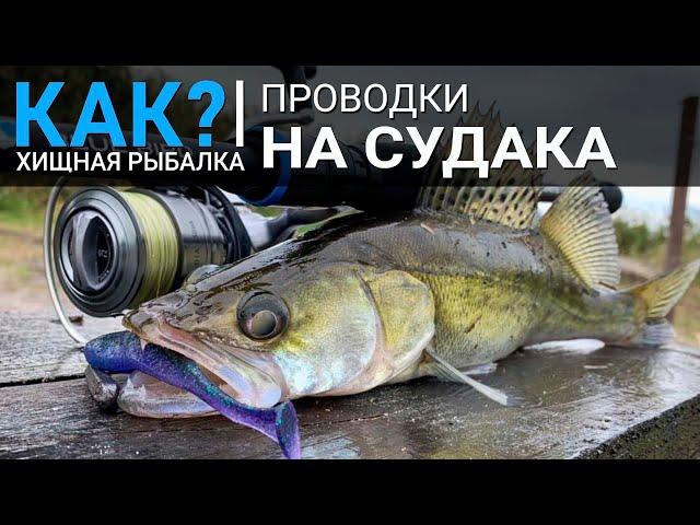 Как? Рабочие проводки на судака. Рыбалка на джиг с берега.