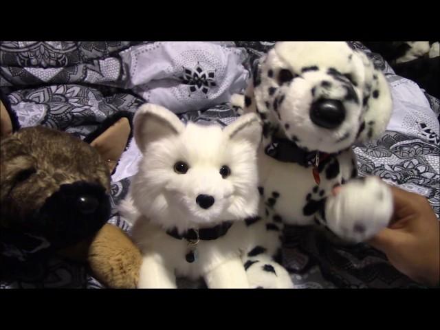 ️Douglas Yuki Arctic Fox Plush Package️