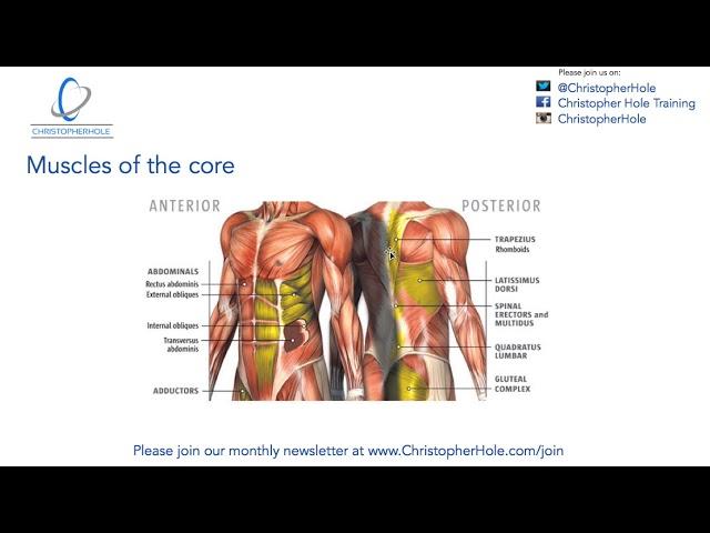 The best core exercise for rehabiliation