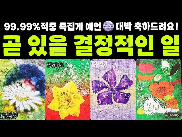 [타로]곧 있을 결정적인 일소름주의‼99.99% 적중신점 같은 족집게 예언