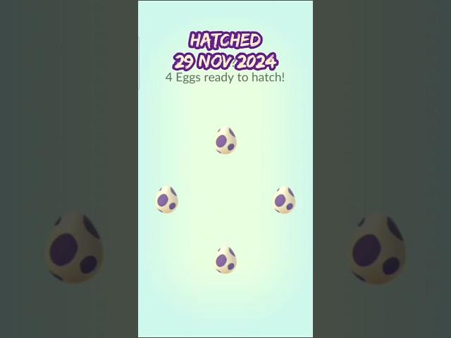 Hatched 29 November 2024 #toxel #pokemongo