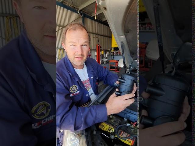 Catch Cans Blow Engines? Wrong. Berrima Diesel Facts 101
