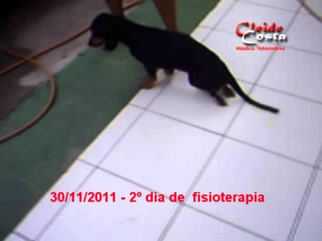 Fisioterapia da Kalissa - Dra. Cleide Costa