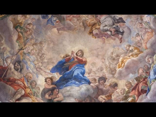 Live: The Solemnity of the Assumption of the Blessed Virgin Mary