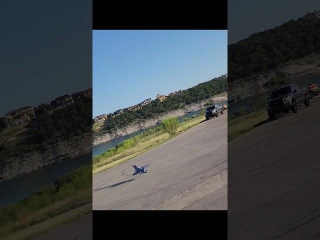 The FAA recommends a "Go around" after a bounce #f16 #viralshort #airplane #aviation #motionrc