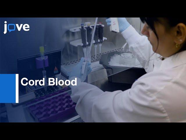 Cord Blood HSCs and Progenitor Cells Differentiation | Protocol Preview