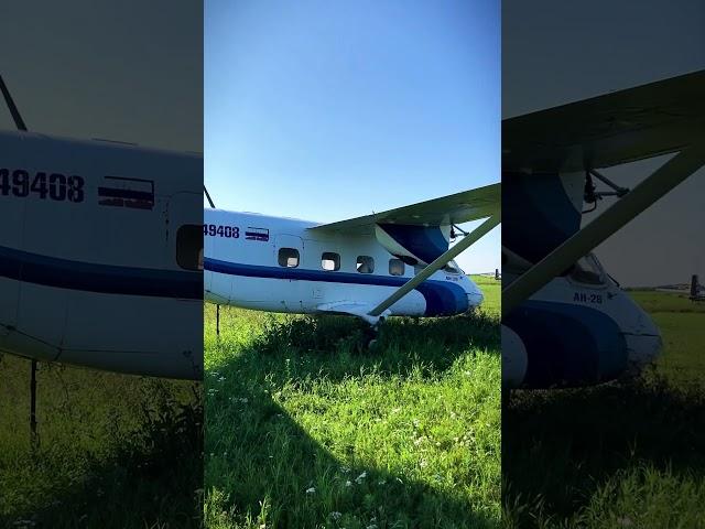 Ан-28: подкосное крыло на Аэродроме Бердск-Центральный | AviaTech Insights
