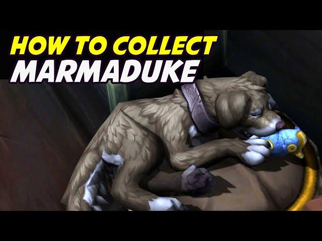 Collect Marmaduke on the Siren Isle