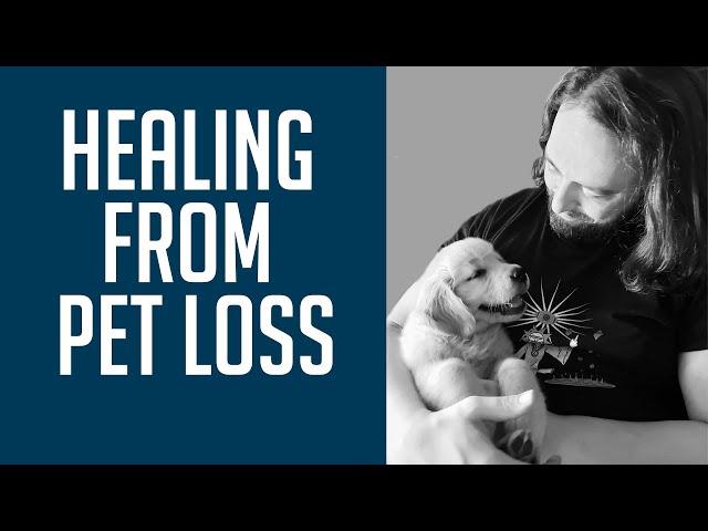 Coping With the Death of Your Pet  | Healing From Pet Loss