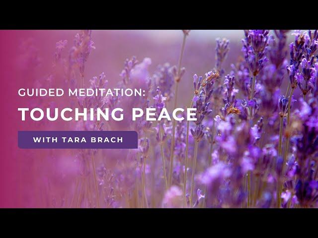 Guided Meditation: Touching Peace with Tara Brach