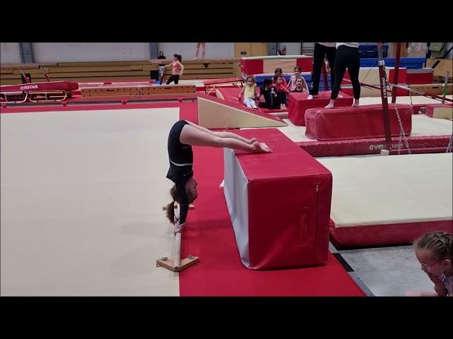 Gymnastique Filière Performance 2017 à 2011 - Mars 2023